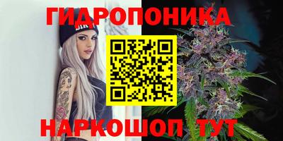 гашишное масло Будённовск